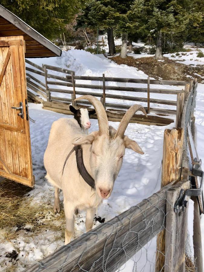 Ferienwohnung T2- 4Pers- Chamrousse Bachat Bouloud Exterior foto